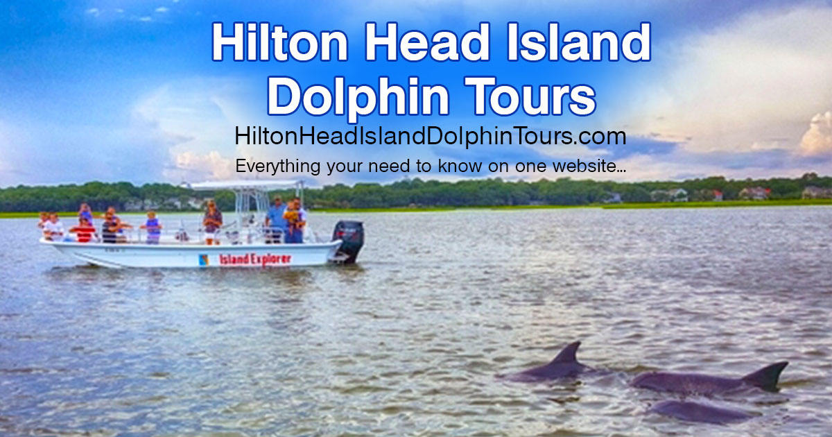 Hilton Head Island Dolphin Tours Hilton Head Island Dolphin Tours, Everything You Need To Know